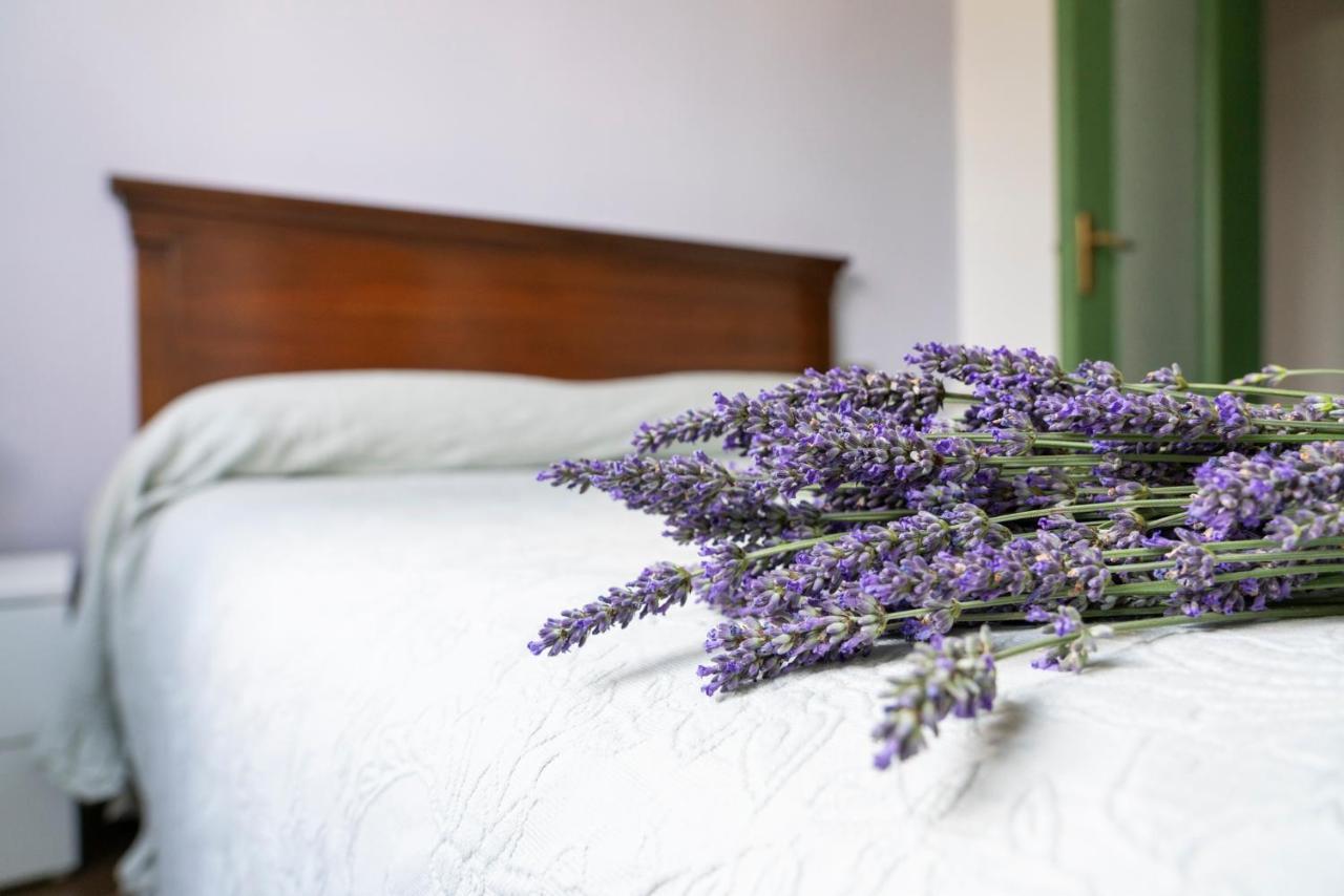 Lago Maggiore A 10 Minuti "Cascina Lavanda" Casalzuigno Ngoại thất bức ảnh