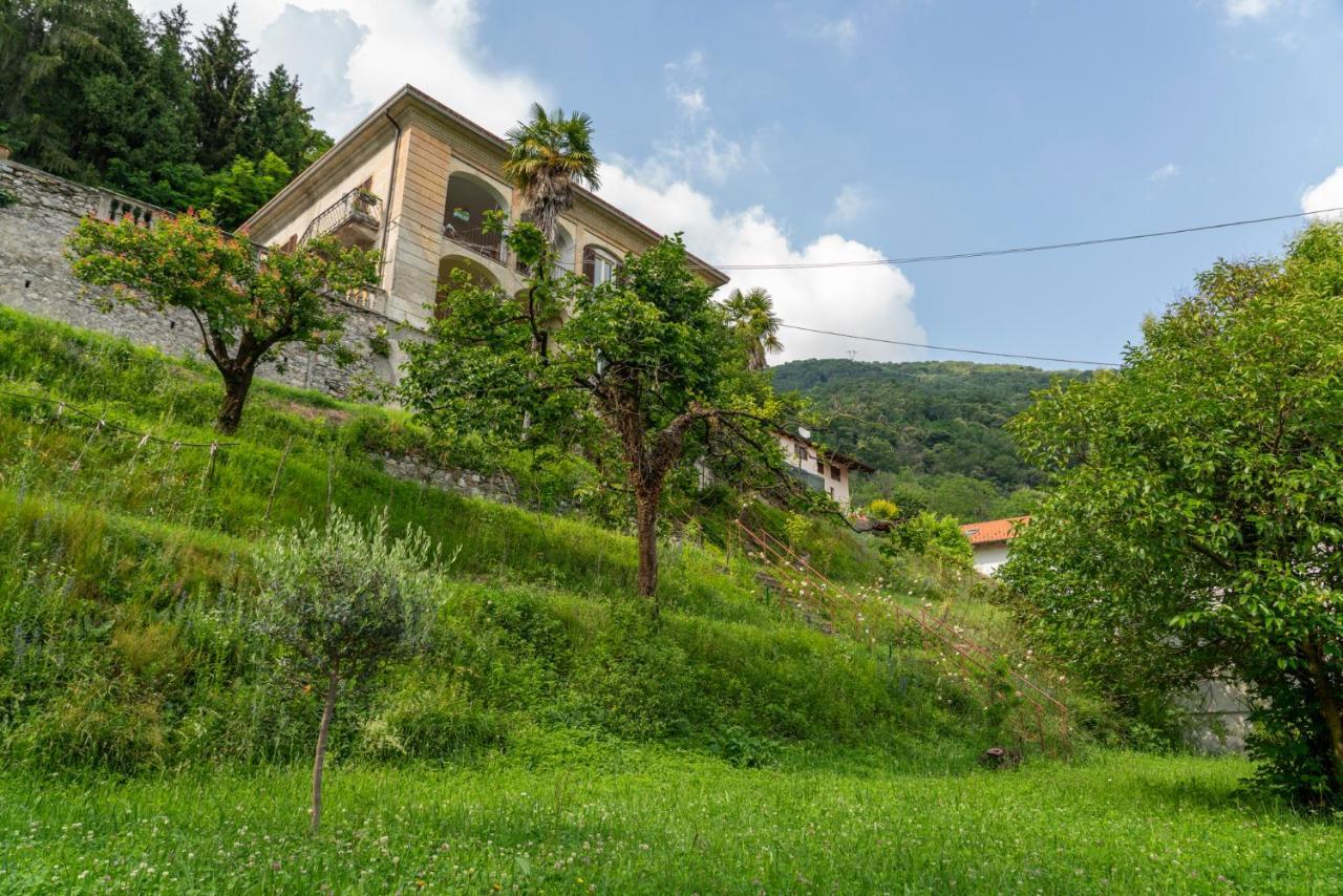 Lago Maggiore A 10 Minuti "Cascina Lavanda" Casalzuigno Ngoại thất bức ảnh