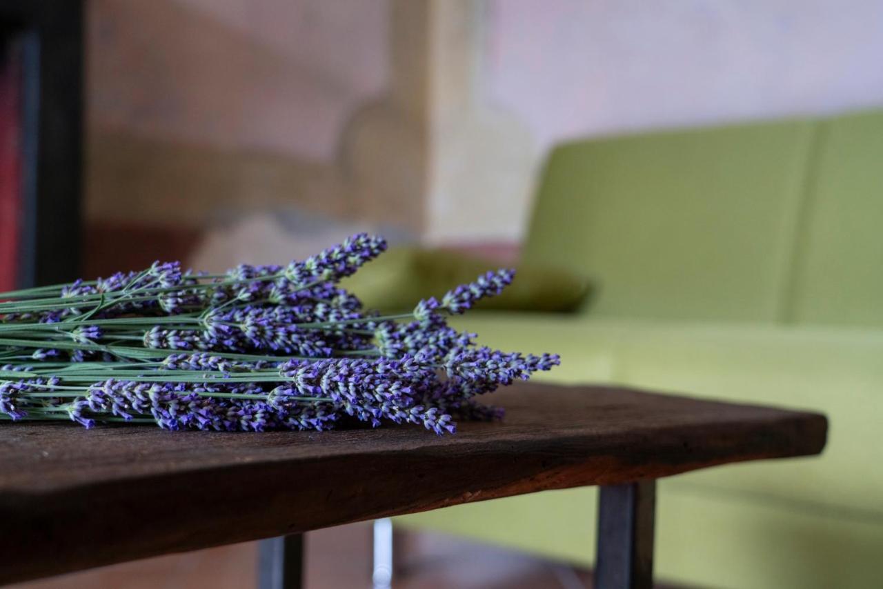 Lago Maggiore A 10 Minuti "Cascina Lavanda" Casalzuigno Ngoại thất bức ảnh